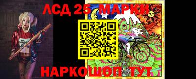 прущие грибы Будённовск