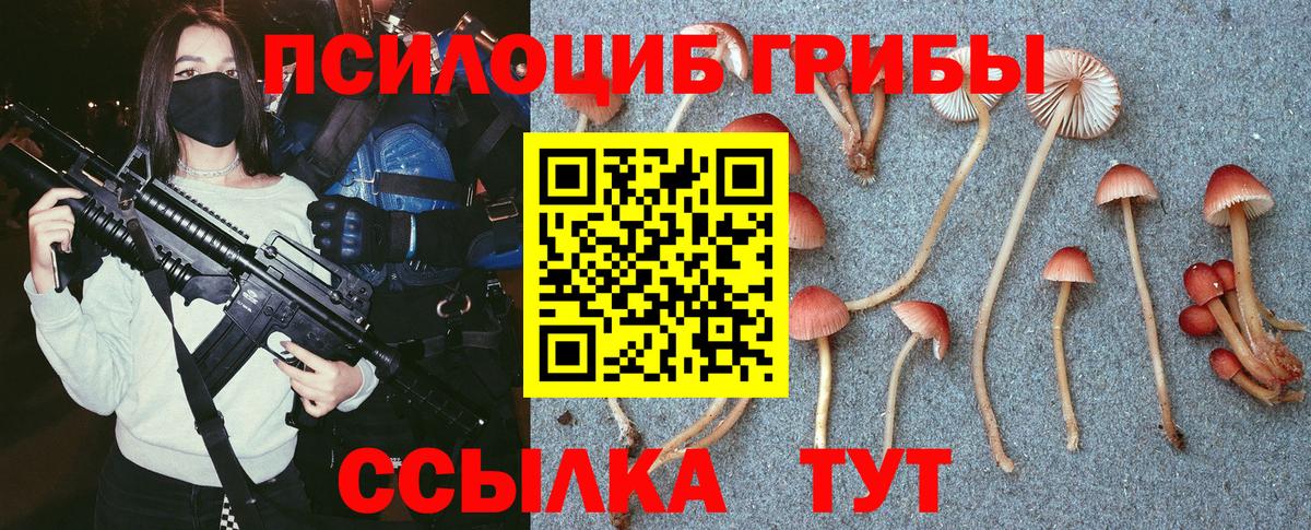 Псилоцибиновые грибы прущие грибы Озёрск